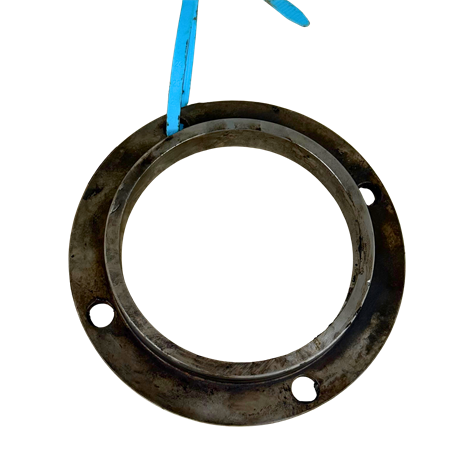 Fläns pump, p1